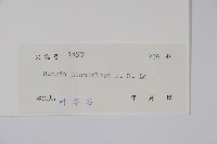 登錄號:S042263藏品圖，第2張