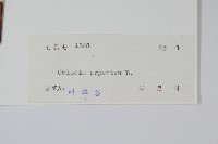 青葙藏品圖，第2張