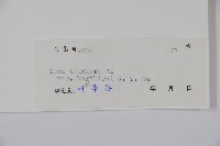 金平氏冬青藏品圖，第2張