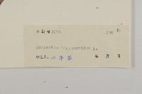 天名精藏品圖，第3張