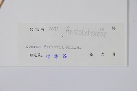 杜衡藏品圖，第2張