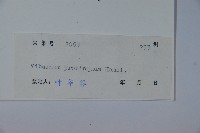 高山莢迷藏品圖，第2張