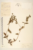 豨簽藏品圖，第1張