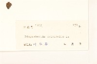 豨簽藏品圖，第3張