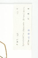 裸瓣瓜藏品圖，第3張