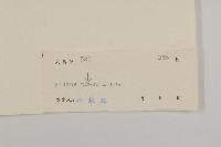 白花鬼針藏品圖，第3張