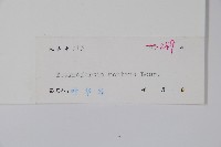 紫丹藏品圖，第2張