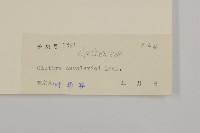 江南山柳藏品圖，第3張