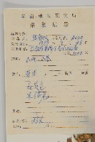 異芒菊藏品圖，第2張