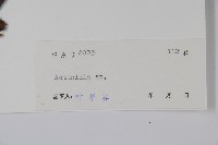 登錄號:S042462藏品圖，第2張