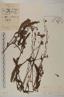 登錄號:S042464藏品圖，第1張