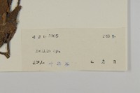 登錄號:S042464藏品圖，第3張