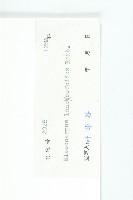 披針葉杜英藏品圖，第3張
