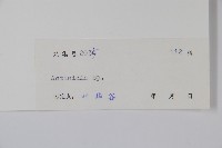 登錄號:S042489藏品圖，第2張