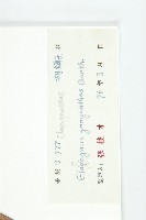 角花胡頹子藏品圖，第3張