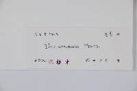 假黃楊藏品圖，第2張