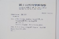 登錄號:S042595藏品圖，第2張