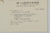 西南繁縷藏品圖，第2張