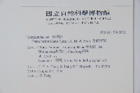 普剌特草藏品圖，第2張