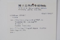 登錄號:S042637藏品圖，第2張