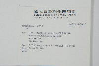 登錄號:S042647藏品圖，第2張