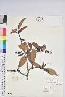 登錄號:S042688藏品圖，第1張