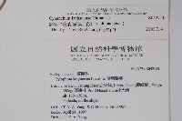 蘭嶼牛皮消、蘭嶼白薇藏品圖，第2張