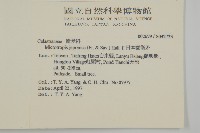 日本賽衛矛、日本假衛矛藏品圖，第2張