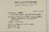 草珊瑚、紅果金粟蘭藏品圖，第2張