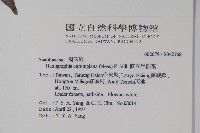 直立半插花藏品圖，第2張