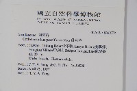 針刺草藏品圖，第2張