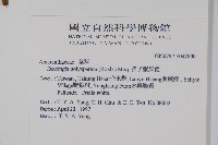 多子漿果莧藏品圖，第2張