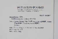 假川牛膝藏品圖，第2張