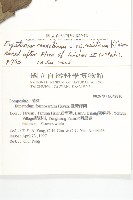 台灣澤蘭藏品圖，第2張