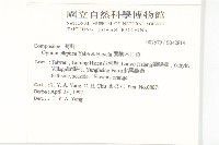 蘭嶼木耳菜藏品圖，第2張