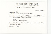 裂葉艾納香藏品圖，第2張