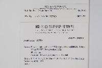 蘭嶼馬藍藏品圖，第2張