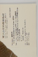 錐頭麻藏品圖，第2張