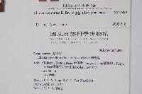 厚殼樹藏品圖，第2張