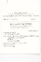 海牽牛藏品圖，第5張