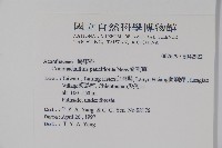 針刺草藏品圖，第2張