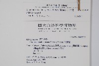 小錦蘭藏品圖，第2張