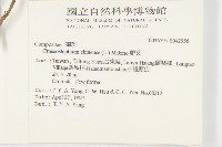 蘄艾、芙蓉菊藏品圖，第2張
