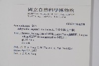 印度牛膝、土牛藤藏品圖，第2張