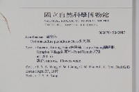 針刺草藏品圖，第2張