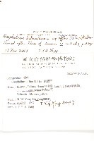 鼠麴草藏品圖，第5張