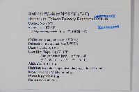 華九頭獅子草藏品圖，第2張