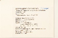 田代氏澤蘭藏品圖，第2張