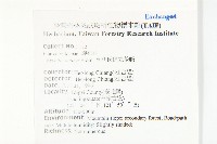 亨利氏伊立基藤藏品圖，第2張