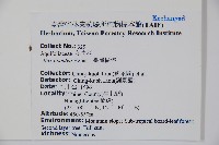 臺灣糊樗藏品圖，第2張